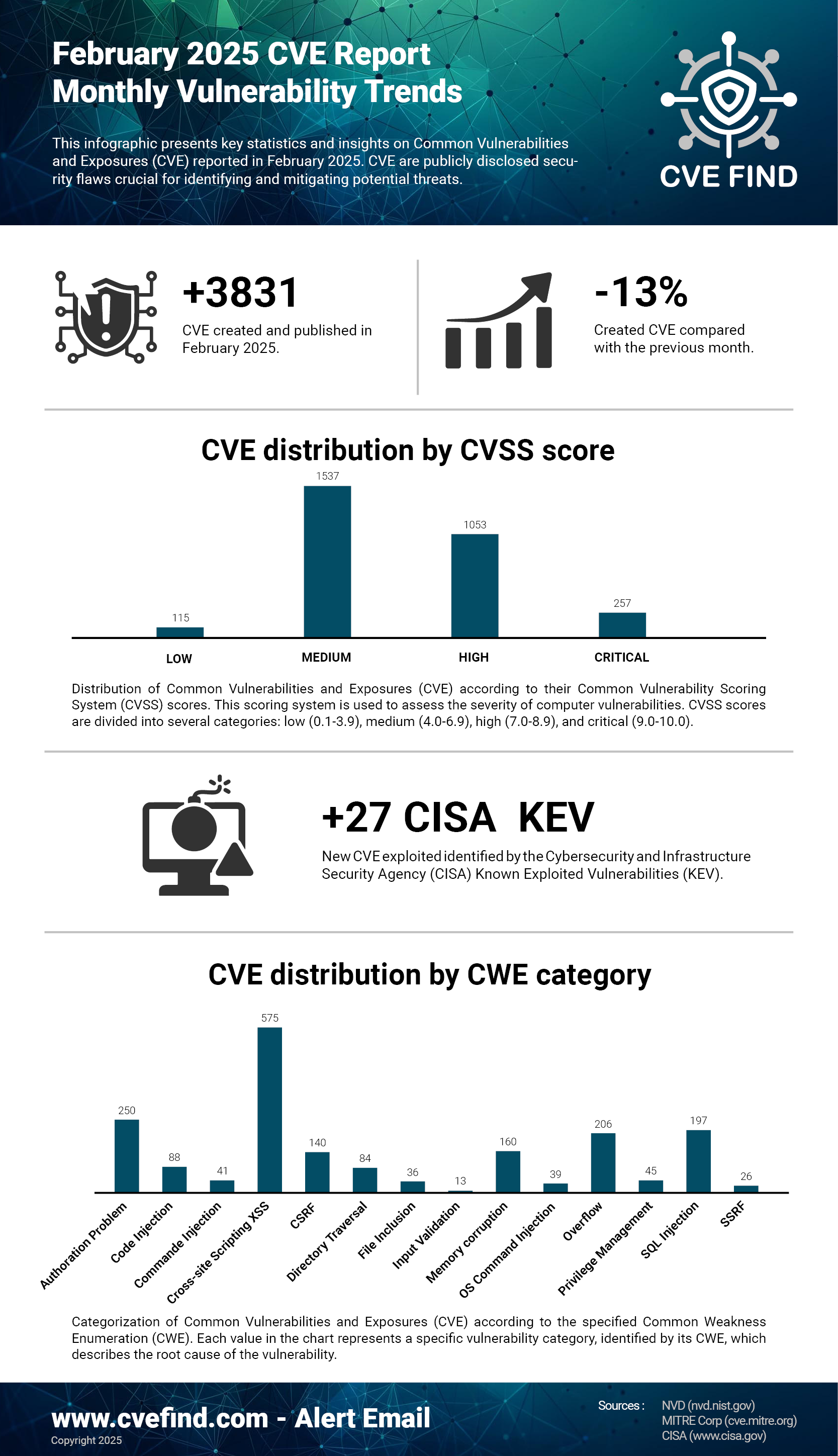 CVE Statistiques Février 2025
